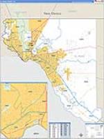 El Paso, Tx Carrier Route Wall Map